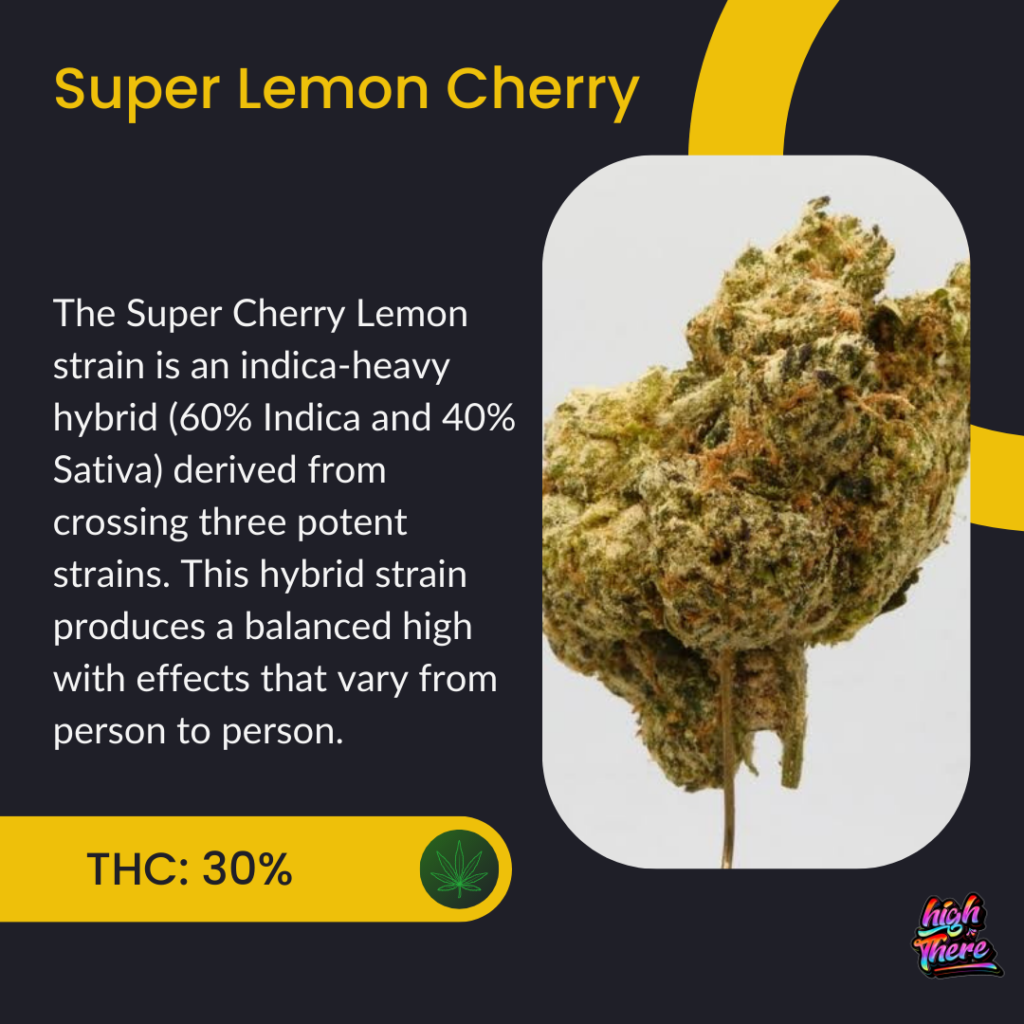 Super Lemon Cherry 1