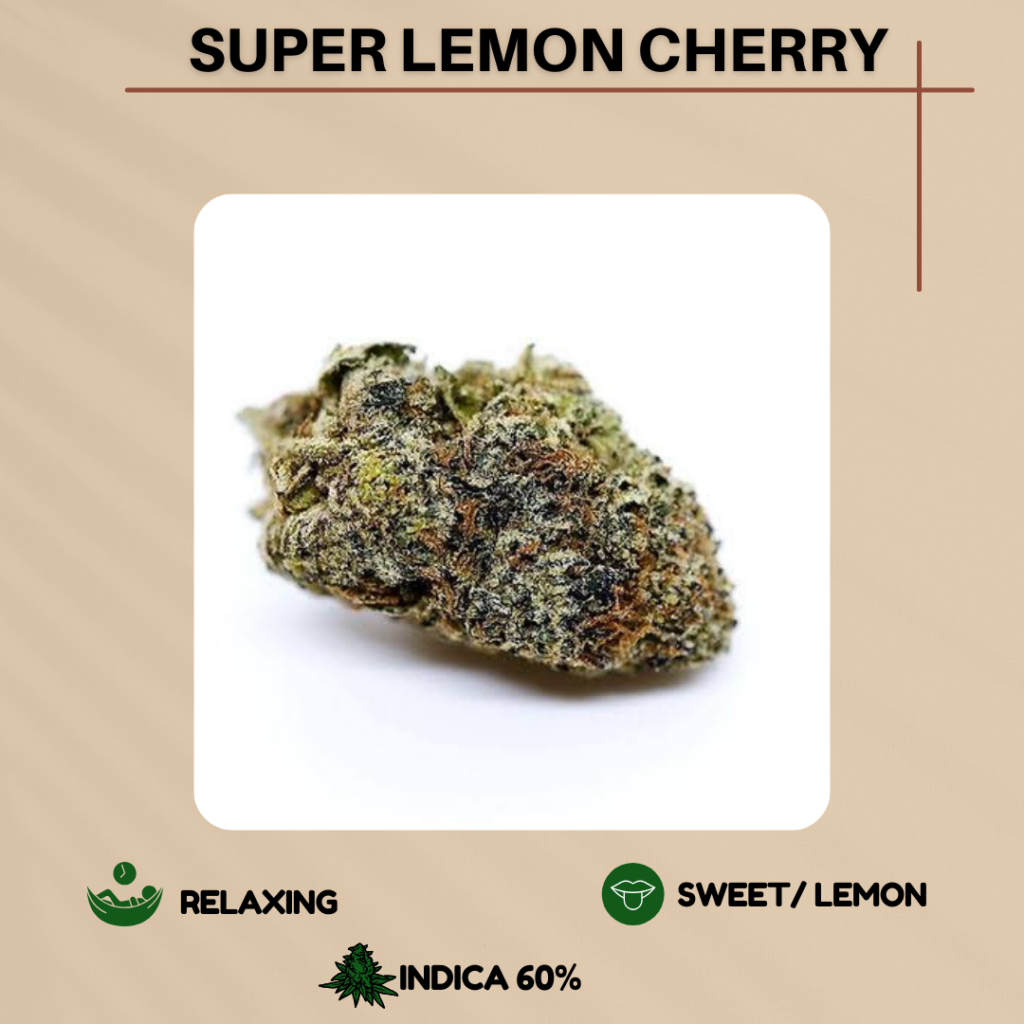 Super Lemon Cherry 2