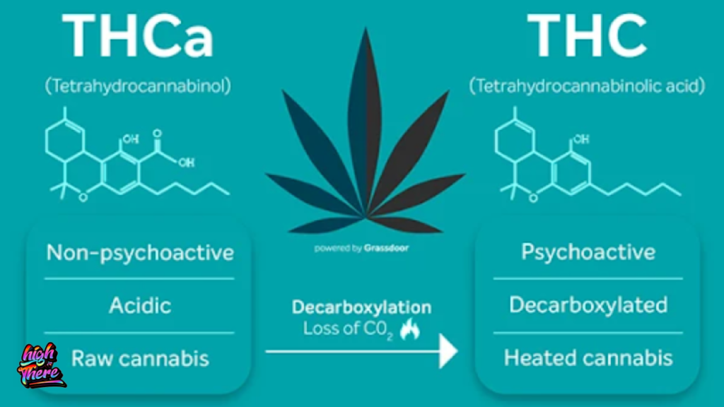 Thca and thc level in cannabis 