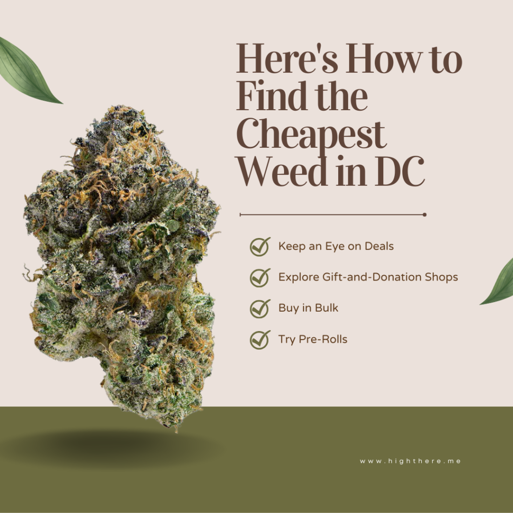 top rated dc dispensary