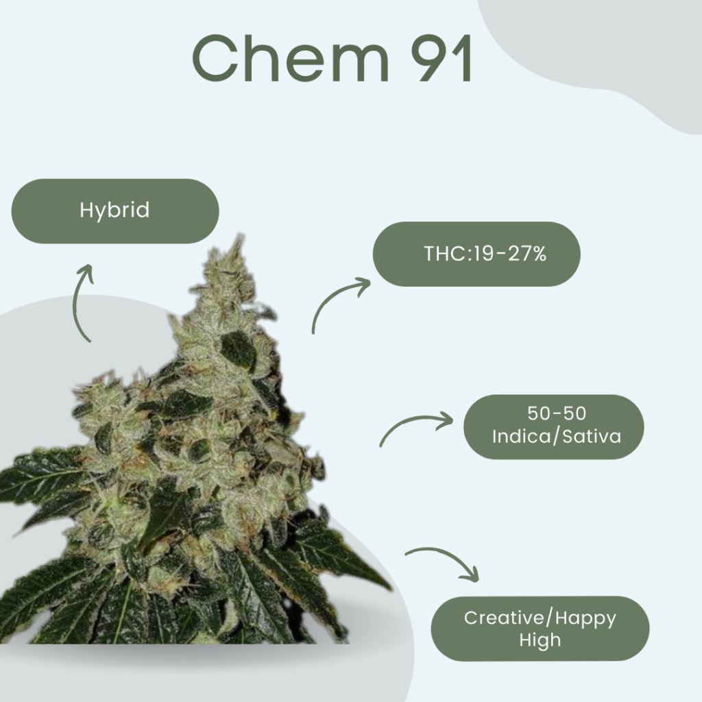 Chem 91 1