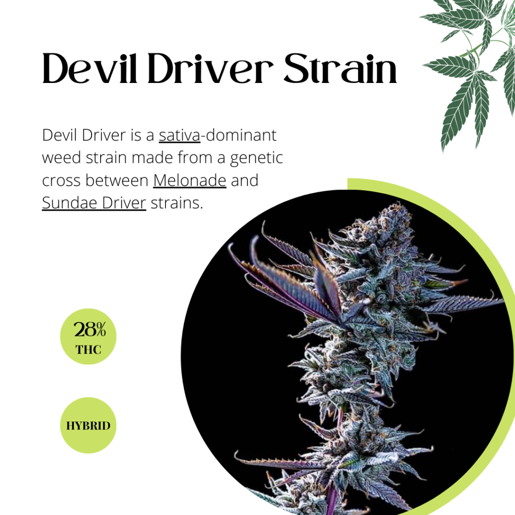 Devil Driver Strain 1