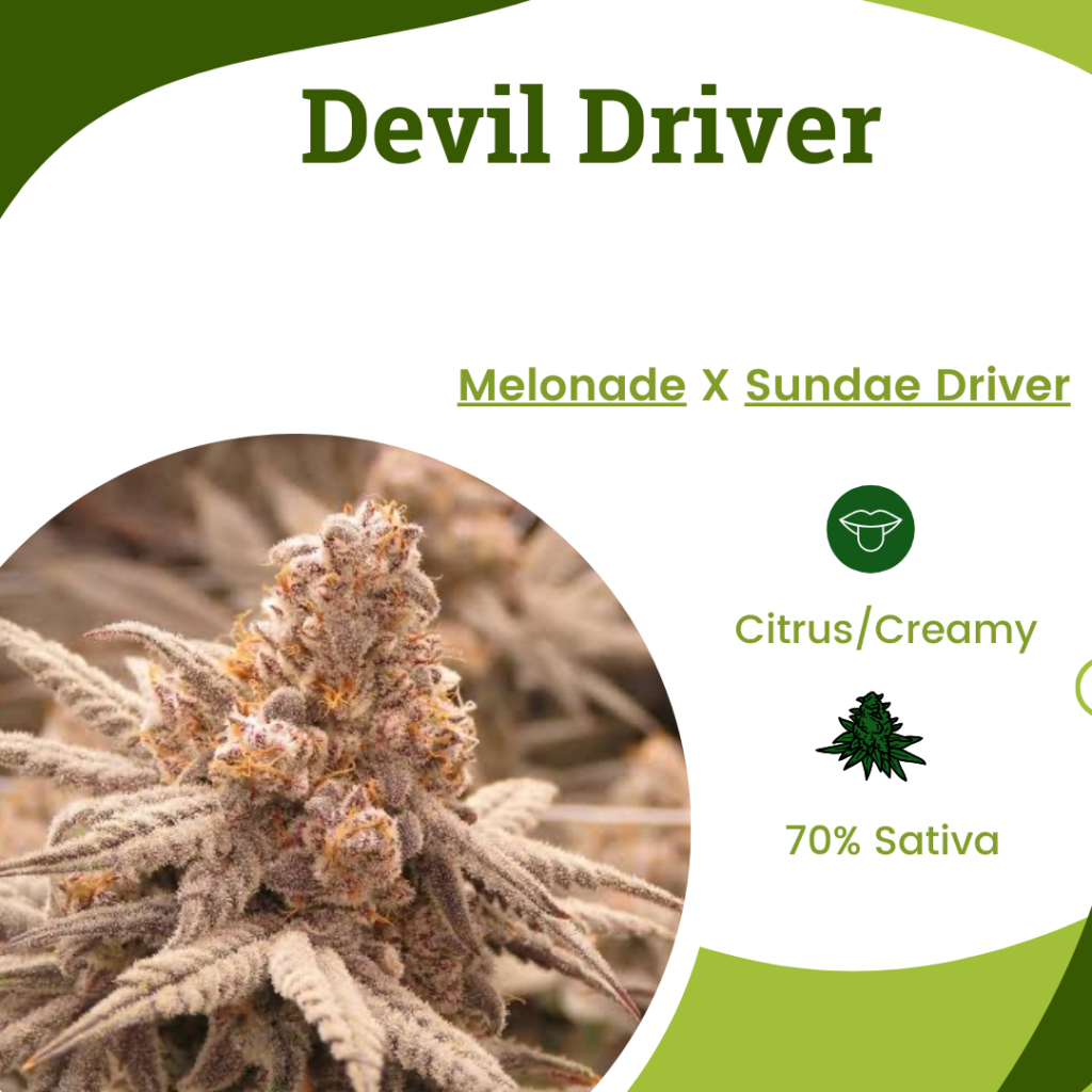 Devil Driver Strain 2