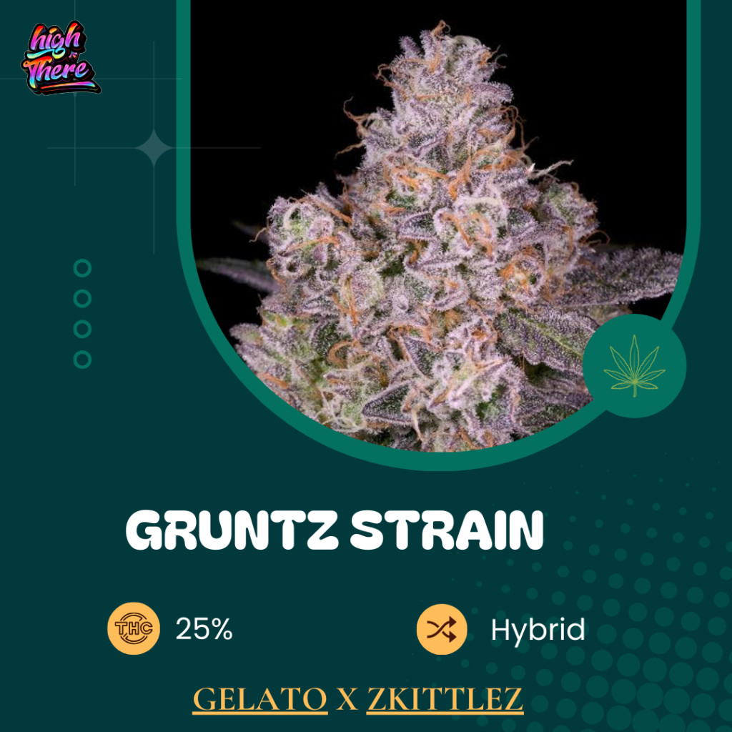 Gruntz Strain 1