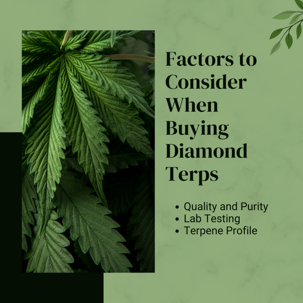 Diamond Terps
