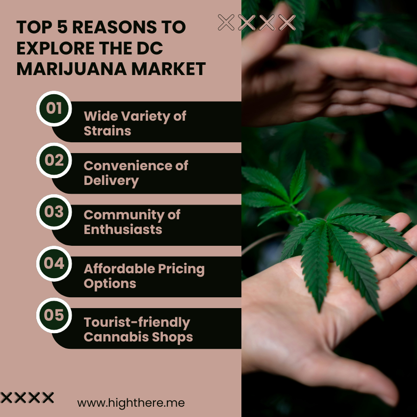 Washington DC Marijuana 