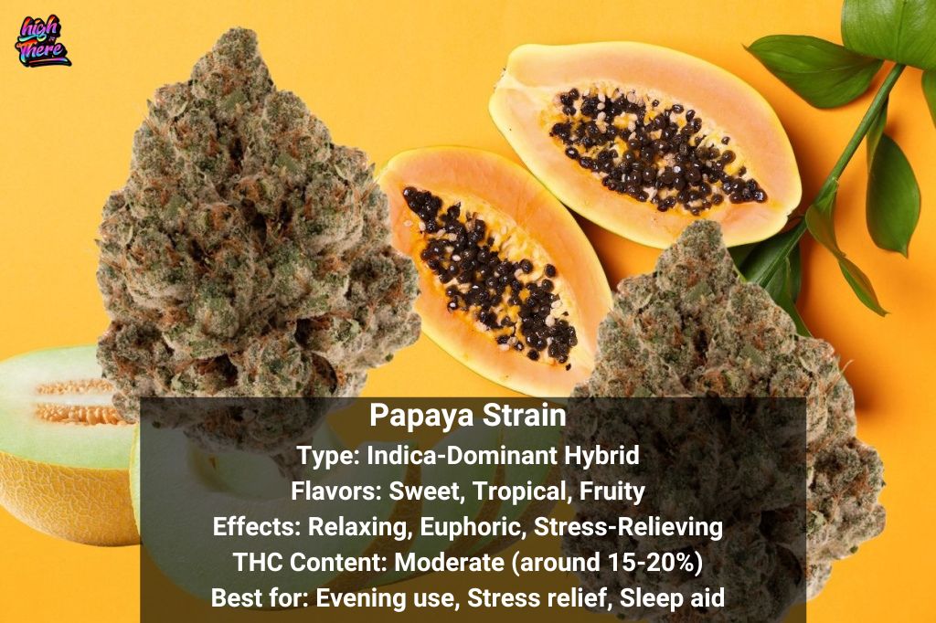 Papaya Weed strain