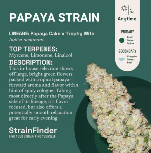 Papaya Cake strain 