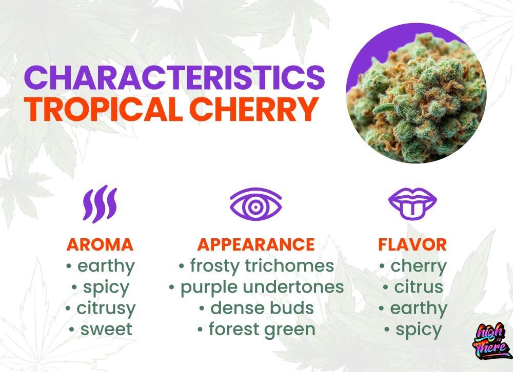 Trop cherry weed strain