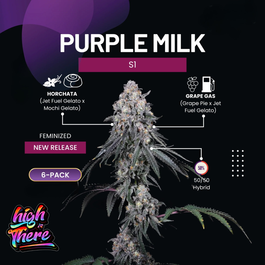 Purple Milk strain