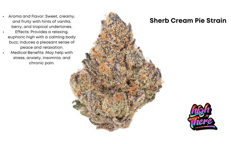 Sherb Cream Pie Strain