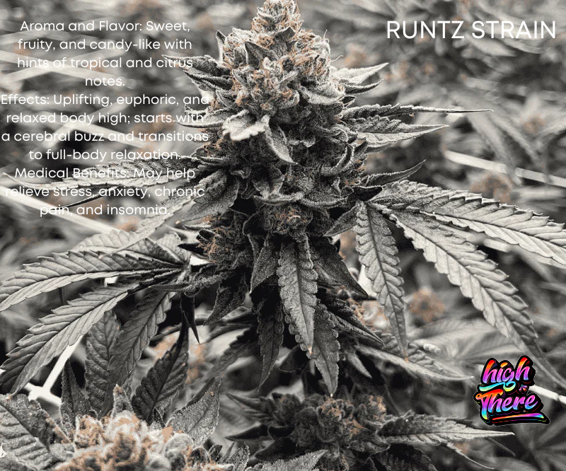 Runtz strain