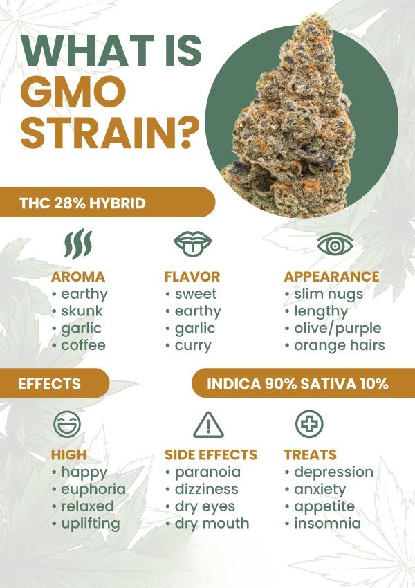 GMO strain