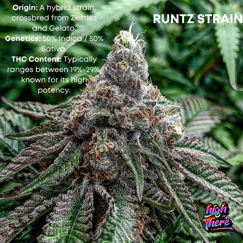 Runtz Strain