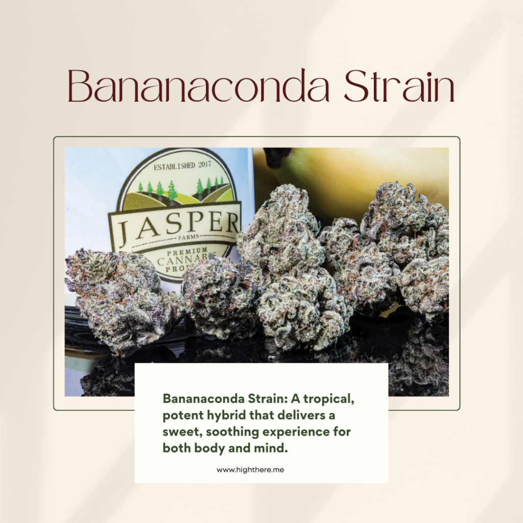 Bananaconda Strain