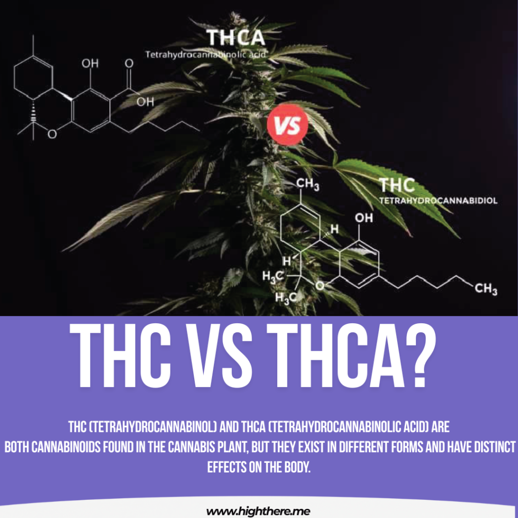 difference between THC and THCA
