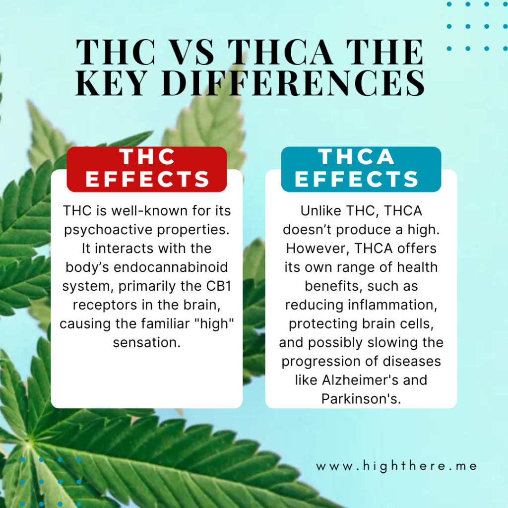 difference between THC and THCA