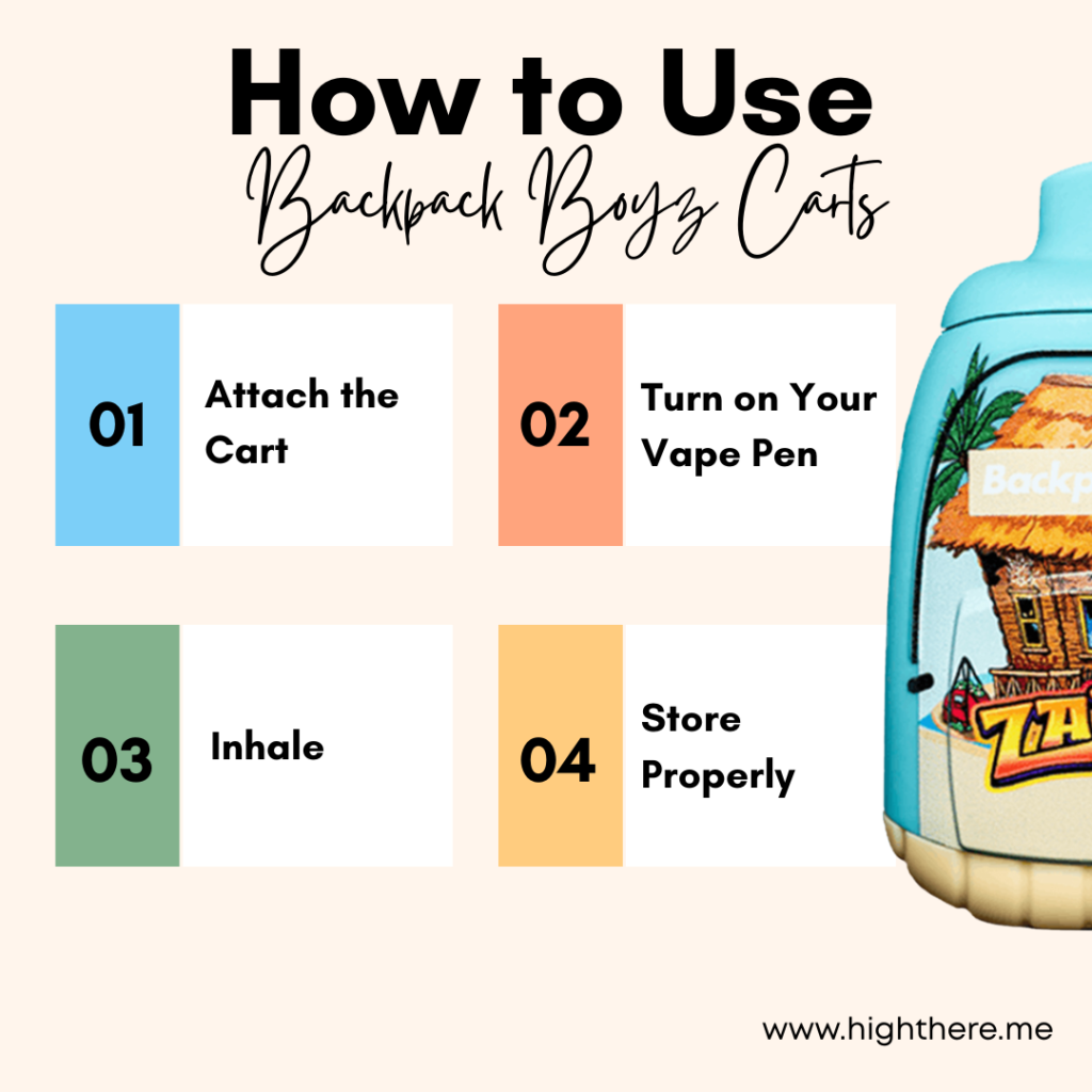 Backpack Boyz Carts Uses