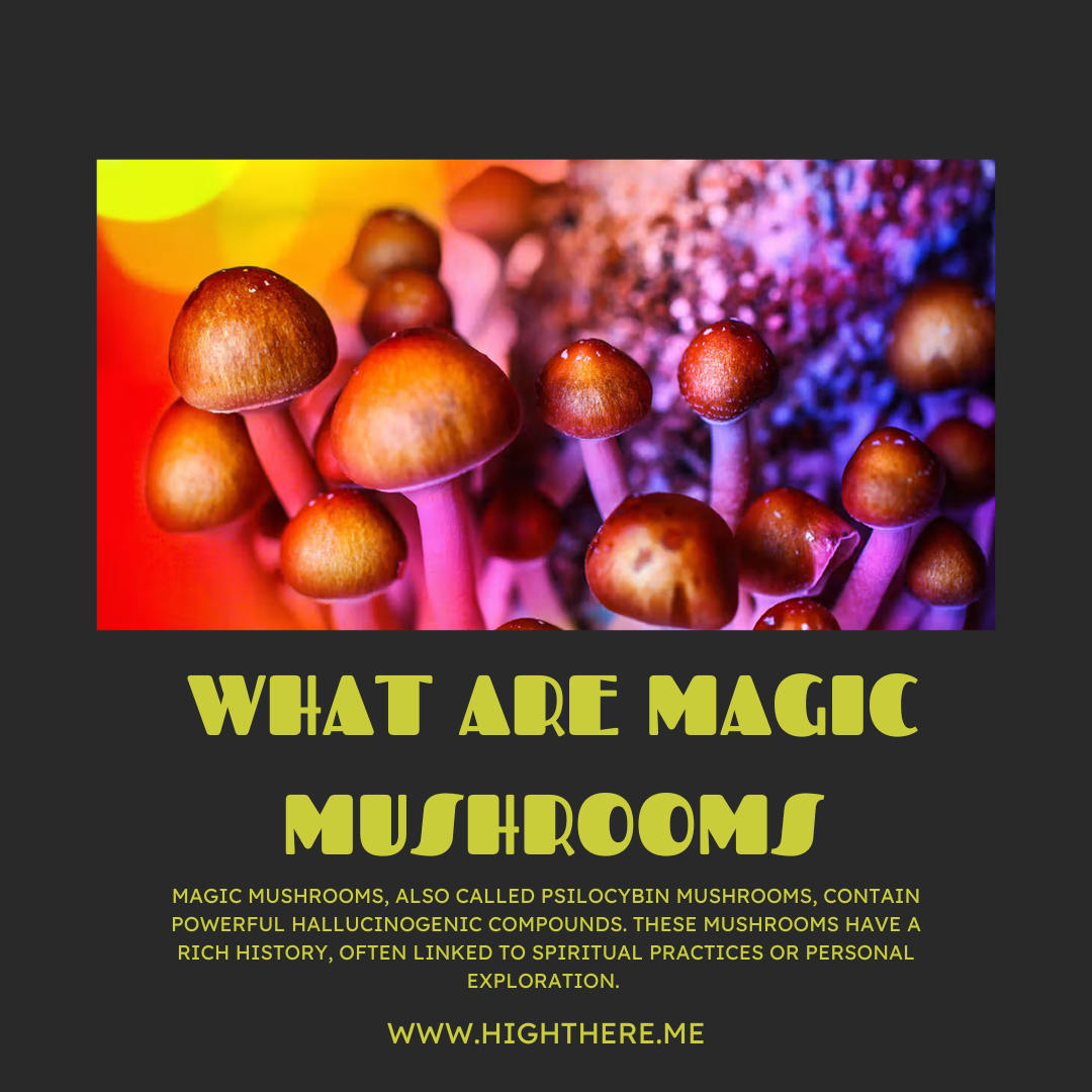 Psilocybin mushrooms
