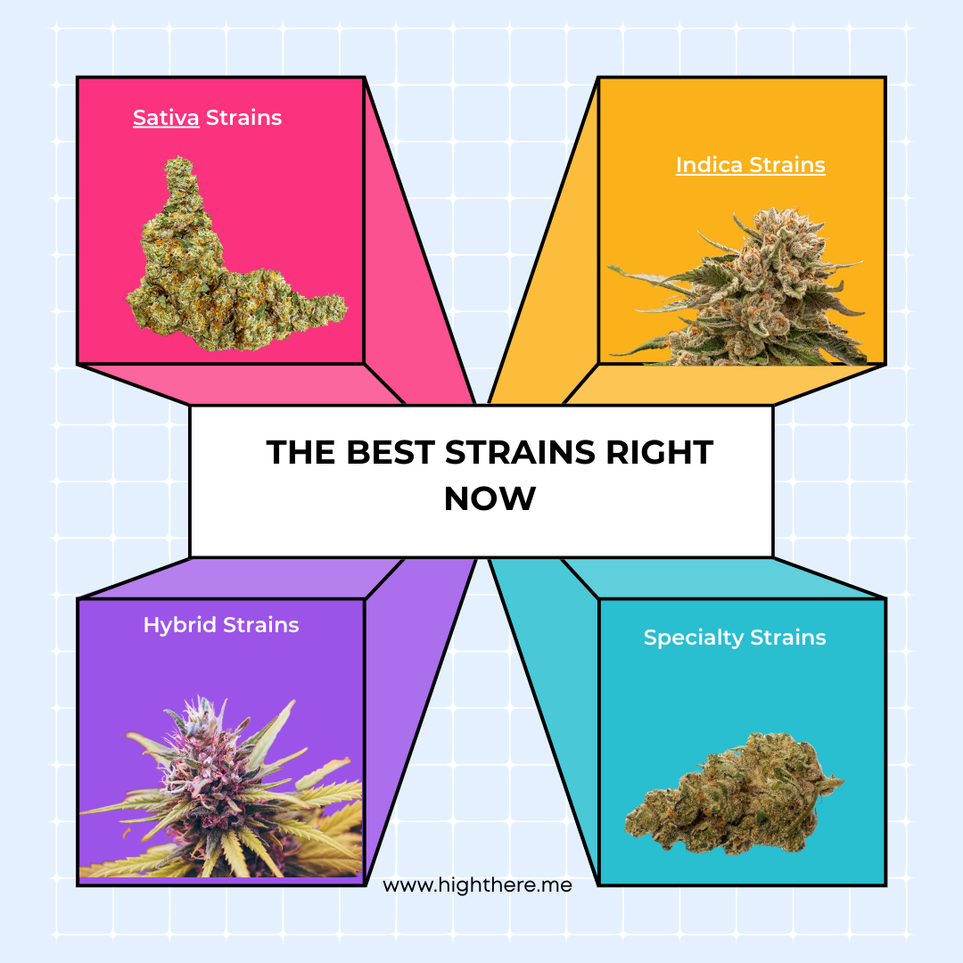 gleaf dispensary near me