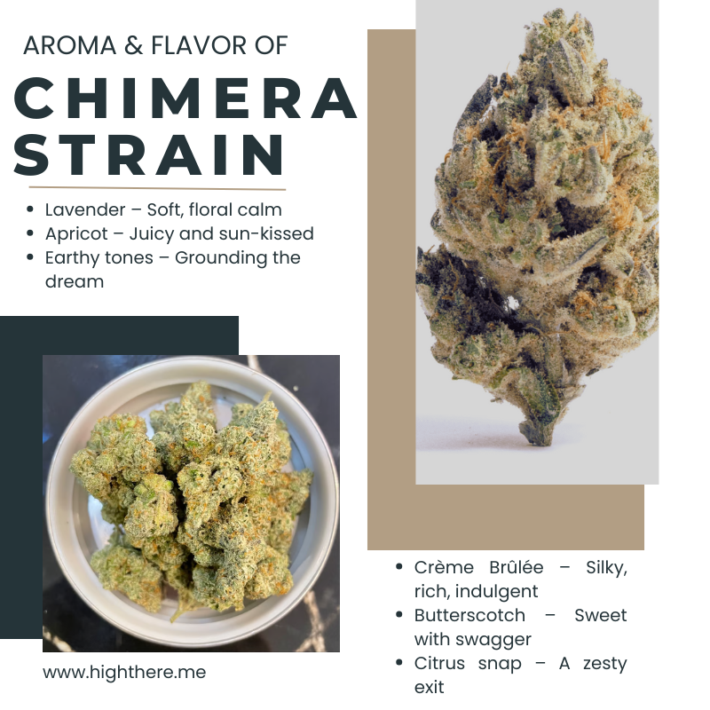 Chimera cannabis strain