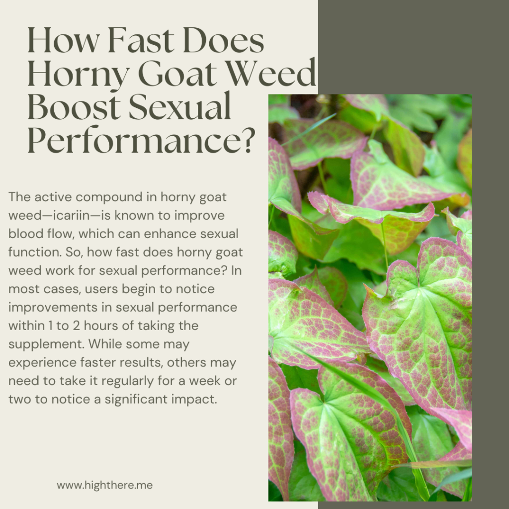 how fast does horny goat weed work for sexual performance