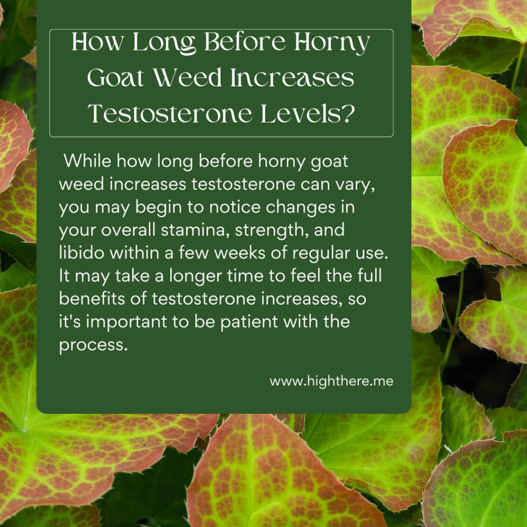 how long before horny goat weed increases testosterone