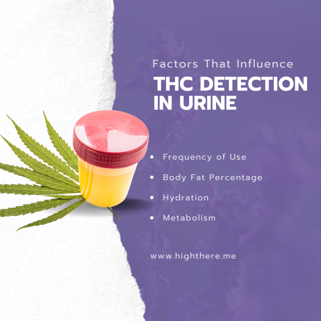 THC stays in urine