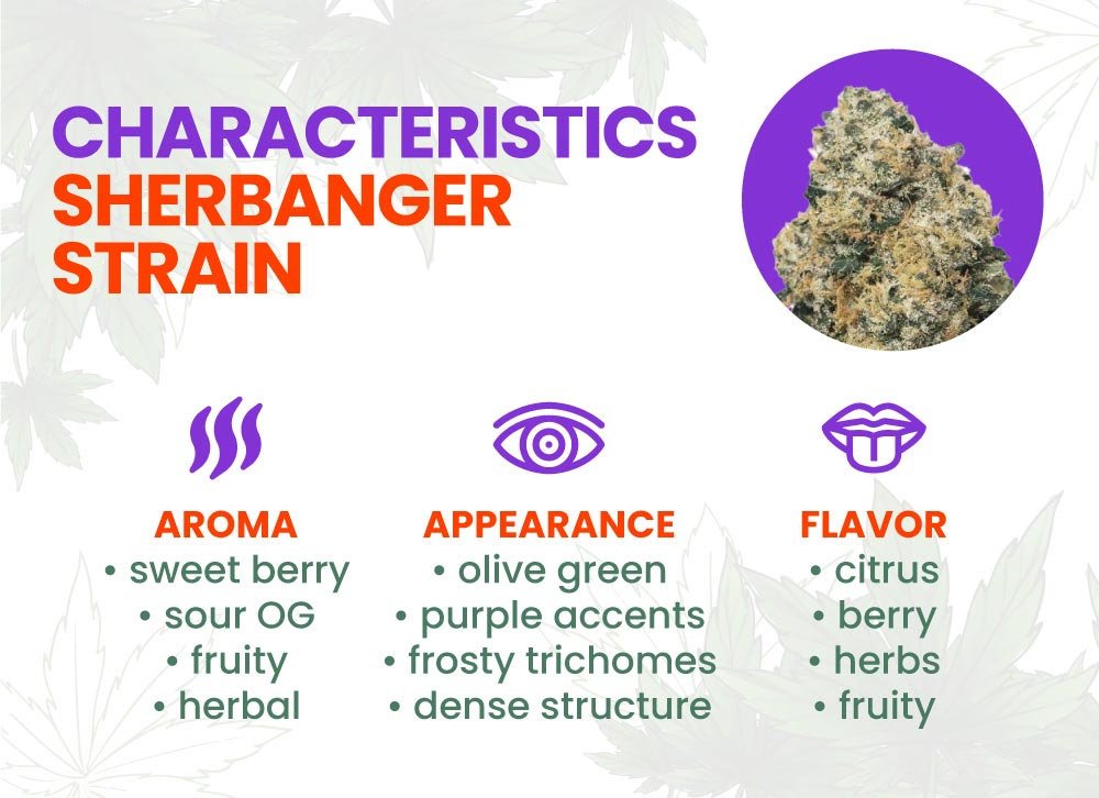 Sherbanger strain
