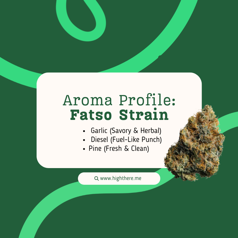 Fatso cannabis strain