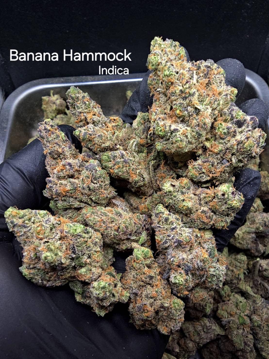 Banana Hammock Weed