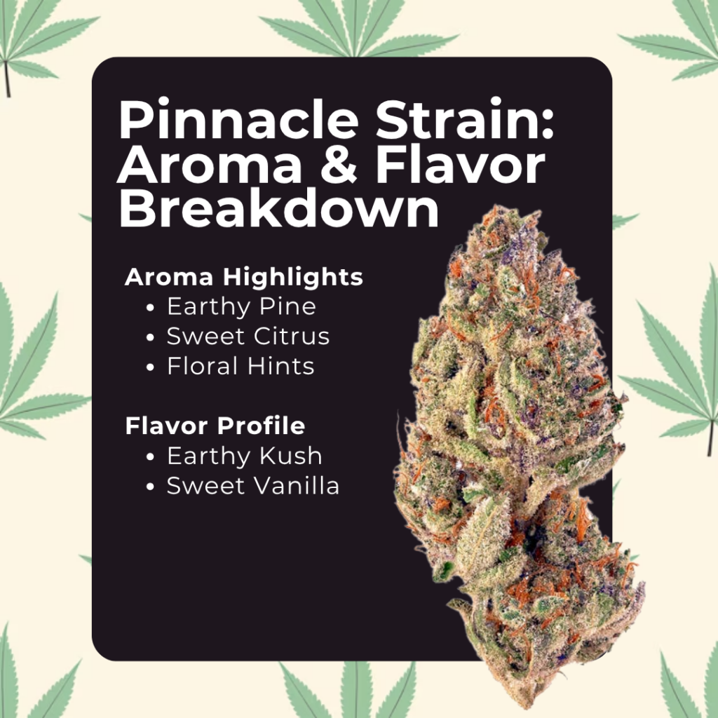 Pinnacle strain