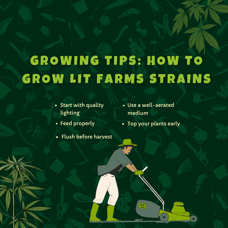 lit farms coupon code
