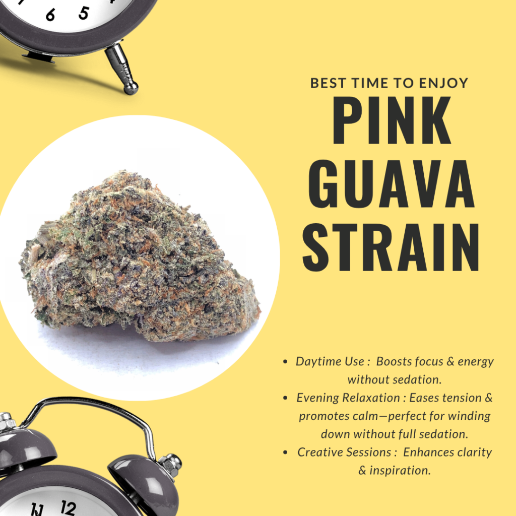 Get Pink Guava Strain