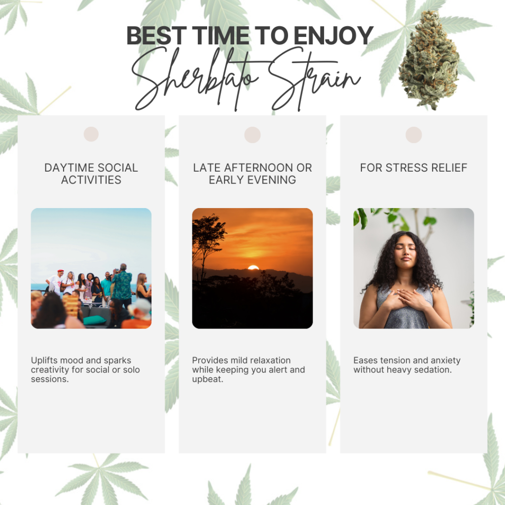 Best Time to Enjoy Sherblato Strain