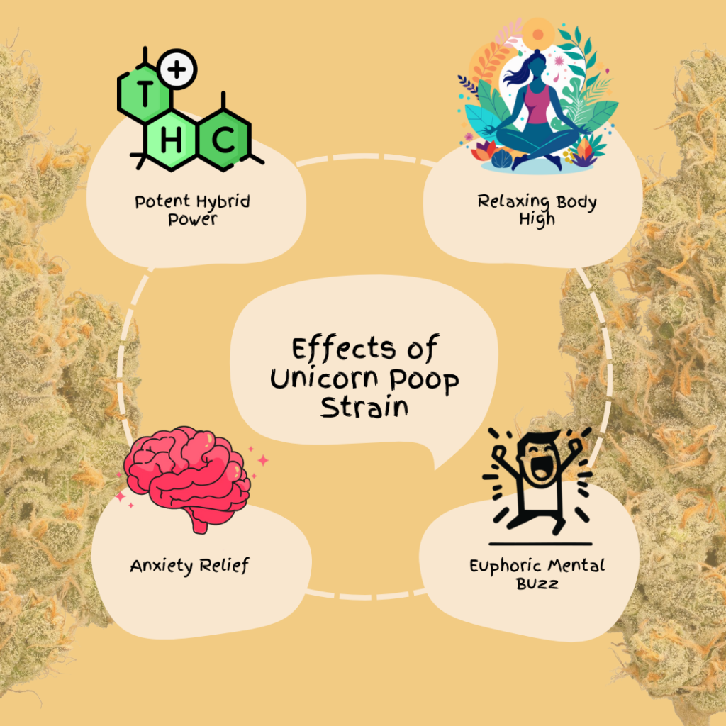 Effects of Unicorn Poop Strain