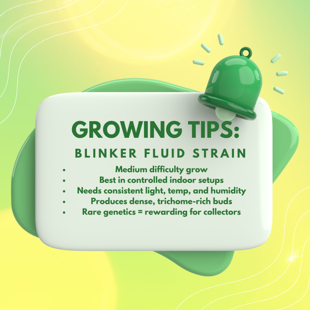 Blinker Fluid Cannabis Strain Growing Tips