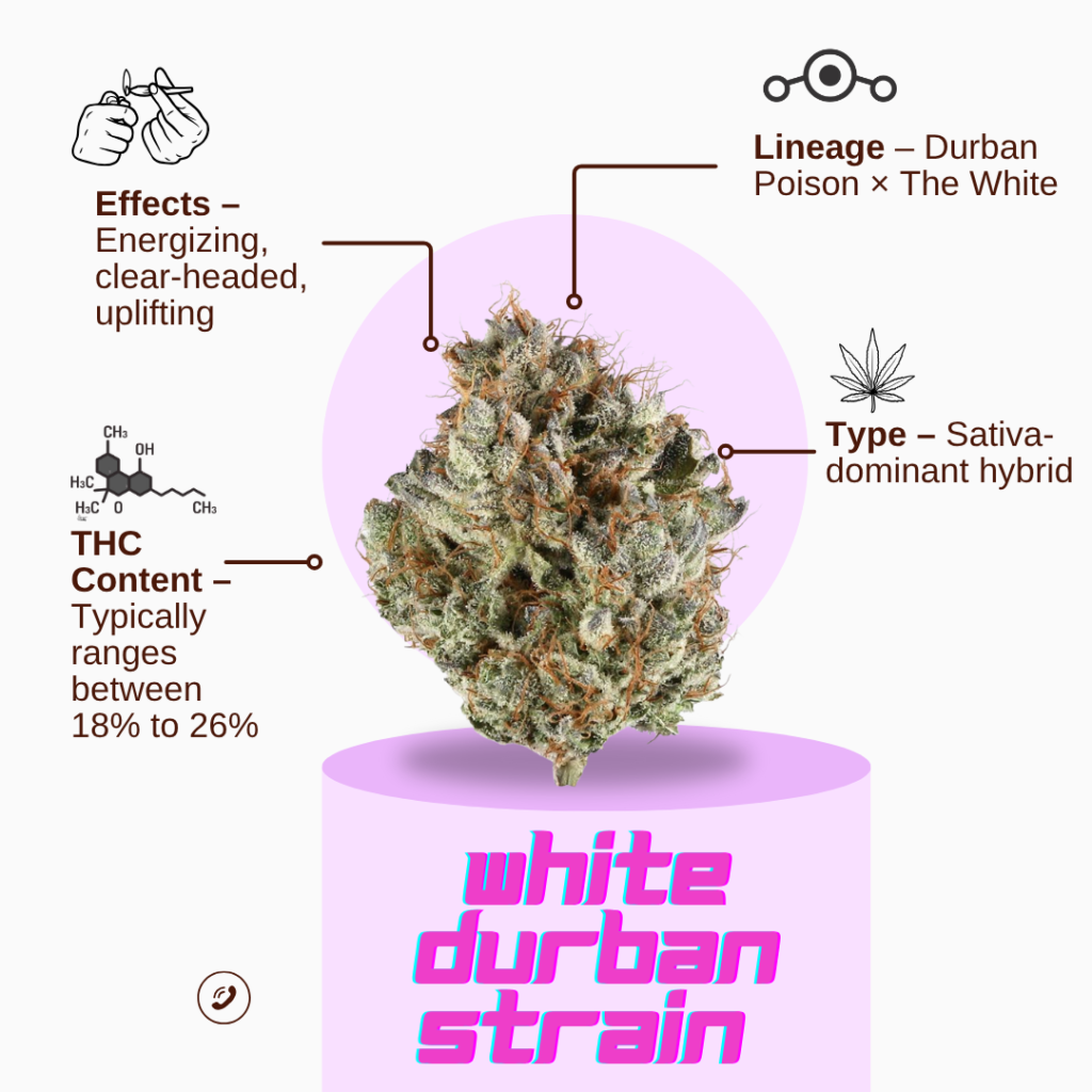 Aroma & Flavor of White Durban Strain