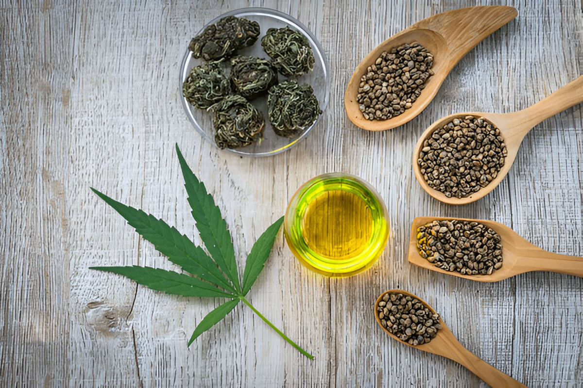 Cannabis Sativa Seed Oil