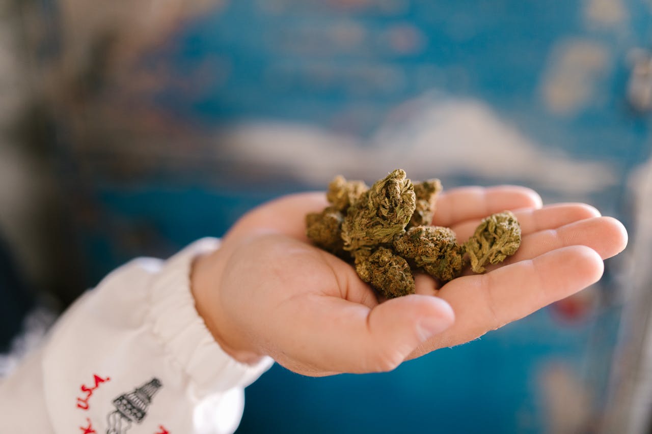Sex Wax cannabis buds in DC