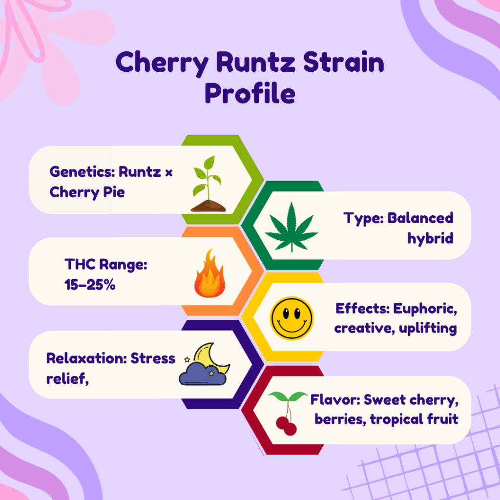 Infographic highlighting Cherry Runtz strain profile with genetics (Runtz × Cherry Pie), THC 15–25%, balanced hybrid effects, and sweet cherry-berry flavors