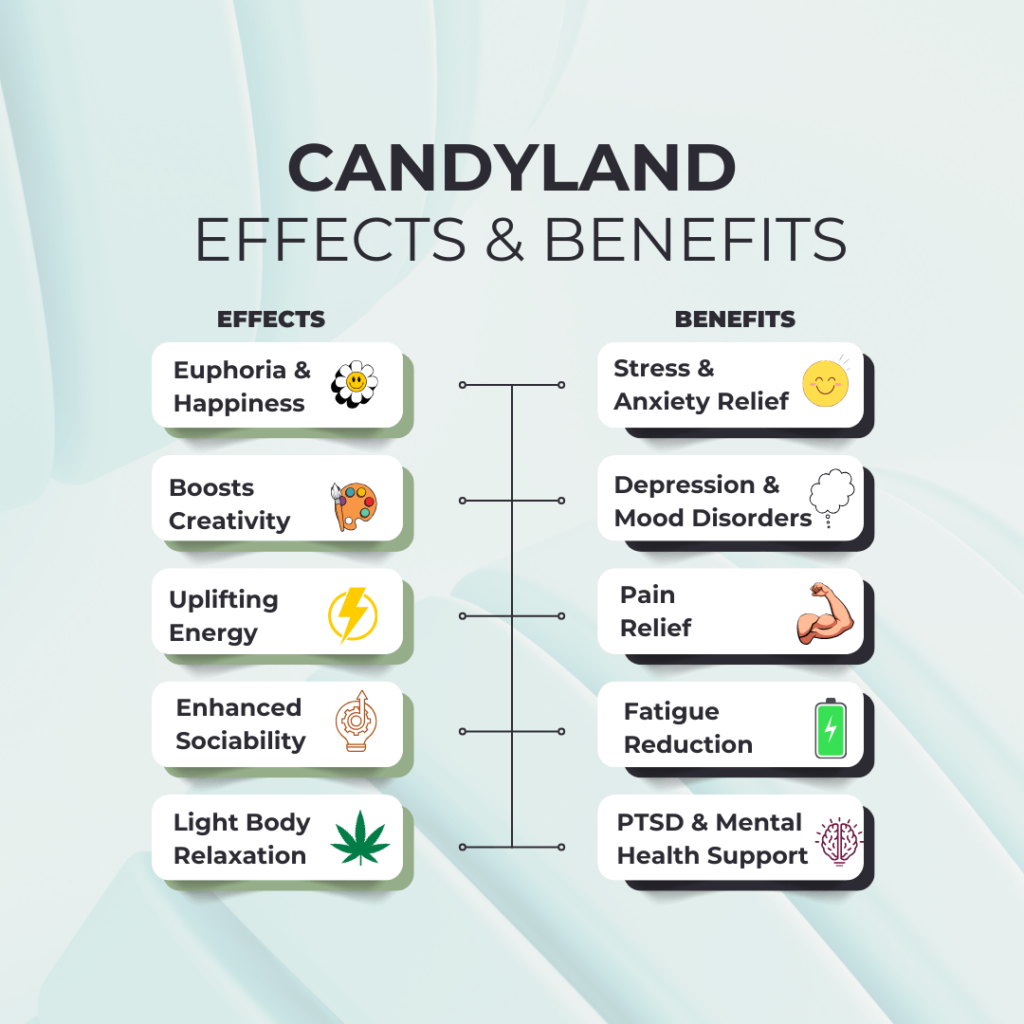 Candyland strain infographic showing effects like euphoria, creativity, and medical benefits such as stress relief and pain reduction
