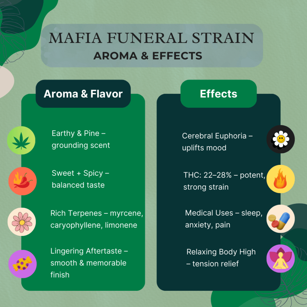 Infographic of Mafia Funeral strain showing earthy pine and sweet-spicy flavors, rich terpenes, and effects like euphoria, body relaxation, medical relief, and high THC potency.
