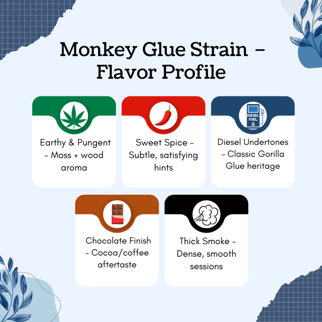 Monkey Glue strain flavor profile infographic showing earthy moss and wood aroma, sweet spice, diesel undertones, chocolate finish, and dense smooth smoke.