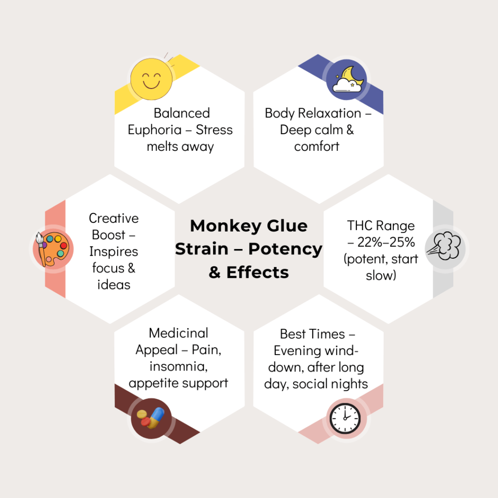 Monkey Glue strain effects infographic highlighting balanced euphoria, deep body relaxation, creativity boost, THC 22-25 percent, medicinal benefits for pain, insomnia, appetite, and best evening use.
