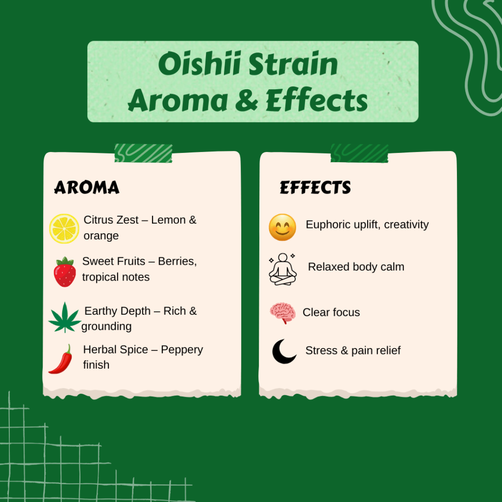 Oishii Strain aroma and effects with icons for citrus, fruits, earthy, spice, euphoria, calm, focus, and relief.