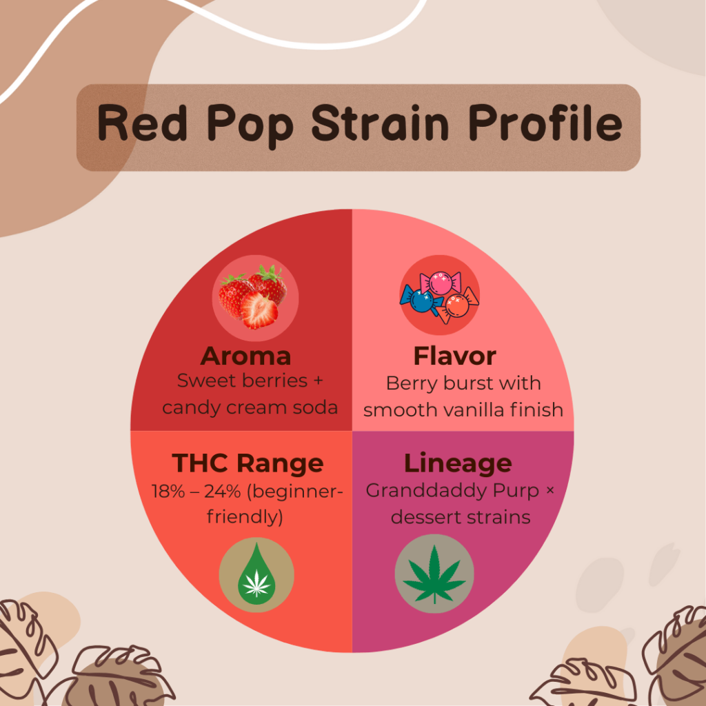 Infographic of Red Pop Strain profile: fruity aroma of berries, candy, cream soda; berry-vanilla flavor; THC range 18–24%; lineage from Granddaddy Purp and dessert strains