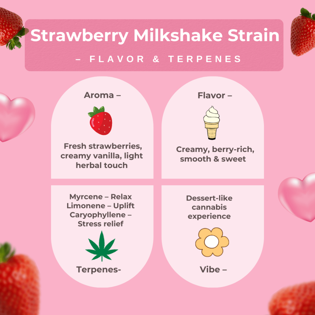 Strawberry Milkshake Strain flavor and terpenes infographic showing aroma of strawberries and vanilla, creamy sweet flavor, main terpenes myrcene, limonene, caryophyllene, and dessert-like cannabis vibe.
