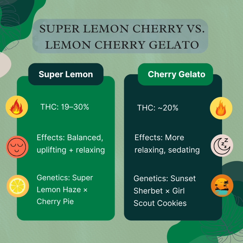 Comparison chart showing THC levels, effects, and genetics of Super Lemon Cherry vs. Lemon Cherry Gelato strains.