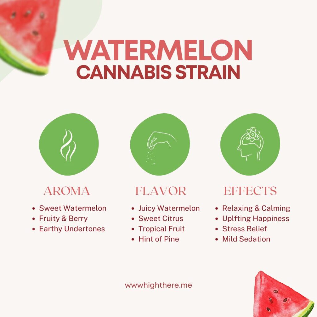 Watermelon-Z-strain